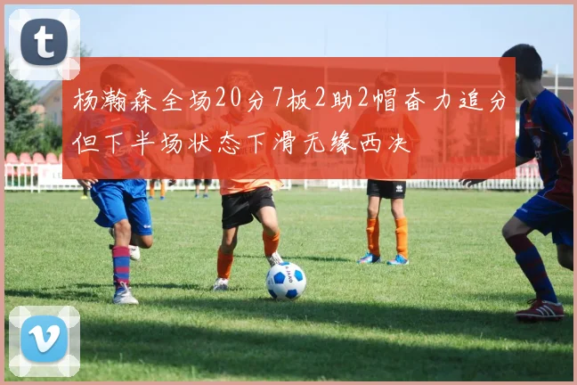 杨瀚森全场20分7板2助2帽奋力追分但下半场状态下滑无缘西决